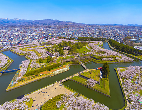 Sakura Season Japan